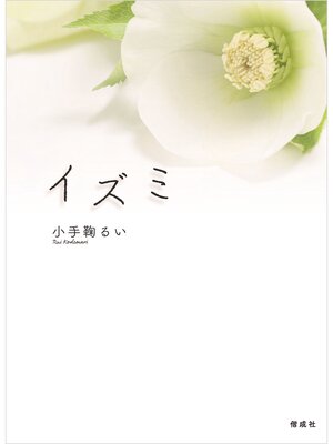cover image of イズミ